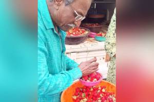 Patil family grew strawberries farm in Nagpur