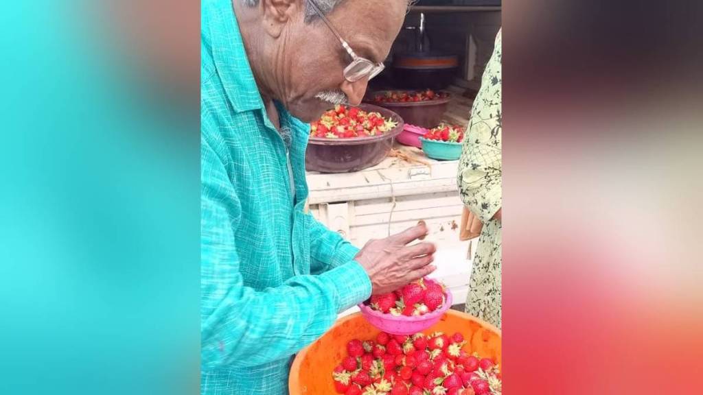 Patil family grew strawberries farm in Nagpur