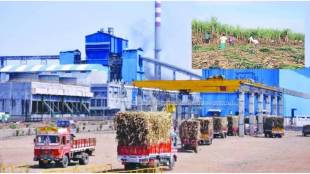 Sugar factories in financial trouble sugarcane shortage loans to be restructured Mumbai news