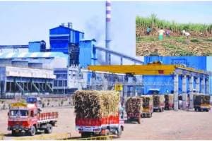 Sugar factories in financial trouble sugarcane shortage loans to be restructured Mumbai news