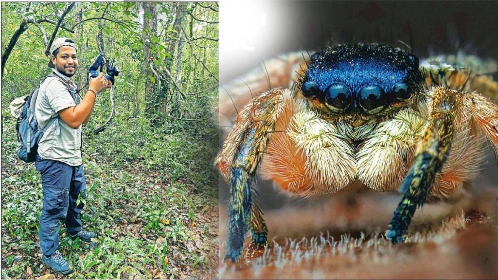 Rishikesh Tripathi spider research