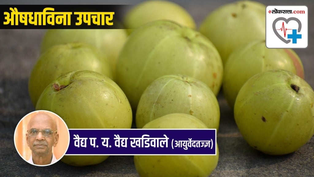 Amla and Karvand Health Benefits in Marathi | Nutrition Facts of Amla and Karvand