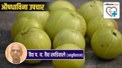 Health Special Amla and Karvand ‘हे’ फळ जगातील सर्वाधिक रोगांवर गुणकारी आणि आरोग्यवर्धक!