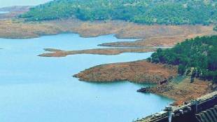 Water storage in Mumbai dams has halved Mumbai news