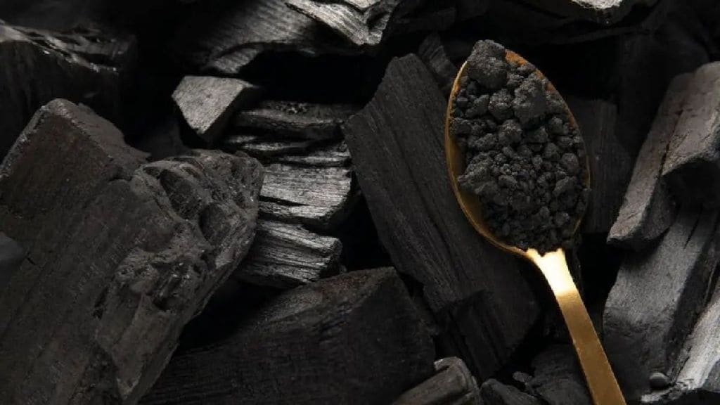 Is charcoal polluting or eco-friendly High Court orders MPCB to decide