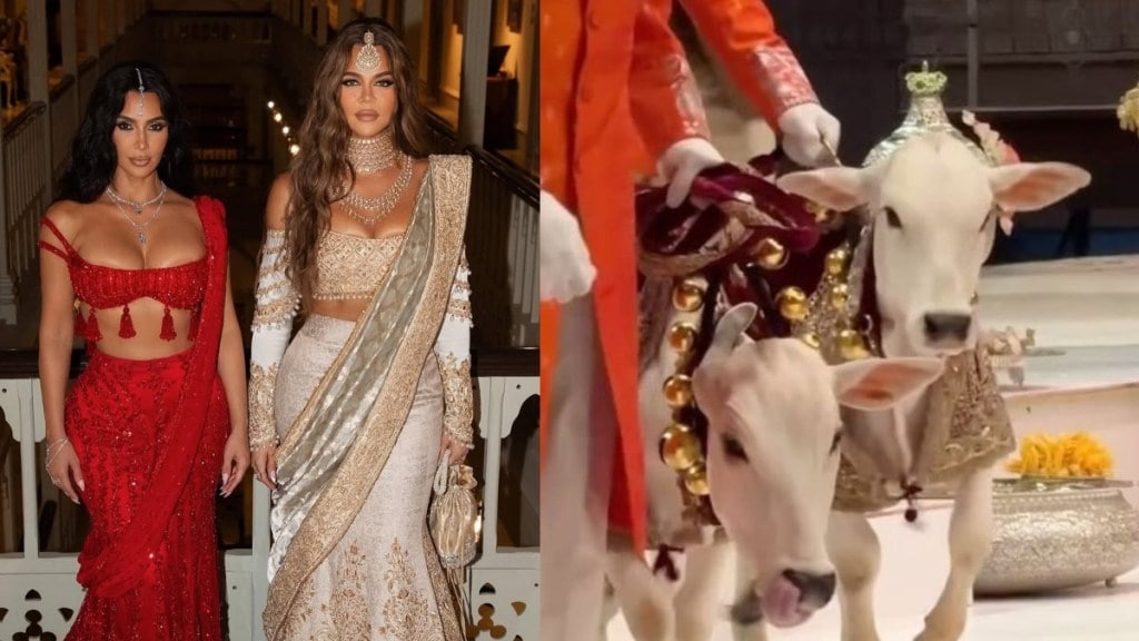 Cows at Ambani wedding had foot cuffs with diamonds