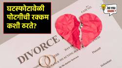 What is Alimony: घटस्फोटानंतर पोटगीची रक्कम कशी ठरवली जाते? कुटुंब न्यायालय आर्थिक तोडगा कसा काढतात?