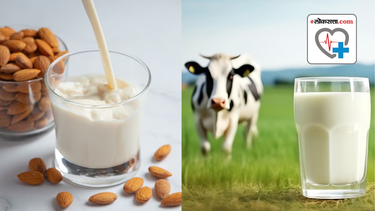 plant milk vs Animal Milk