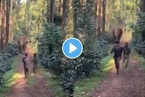 Shocking Scary video Angry Wild Elephant Chases 2 Forest Department Officials In Karnataka's Hassan VIDEO