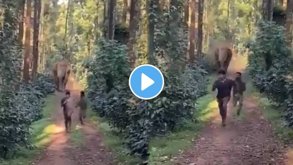 Shocking Scary video Angry Wild Elephant Chases 2 Forest Department Officials In Karnataka's Hassan VIDEO