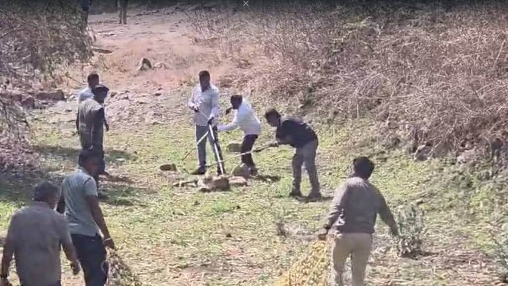 forest department team succeeded in saving life of injured leopard in Kalmeshwar taluka of nagpur district