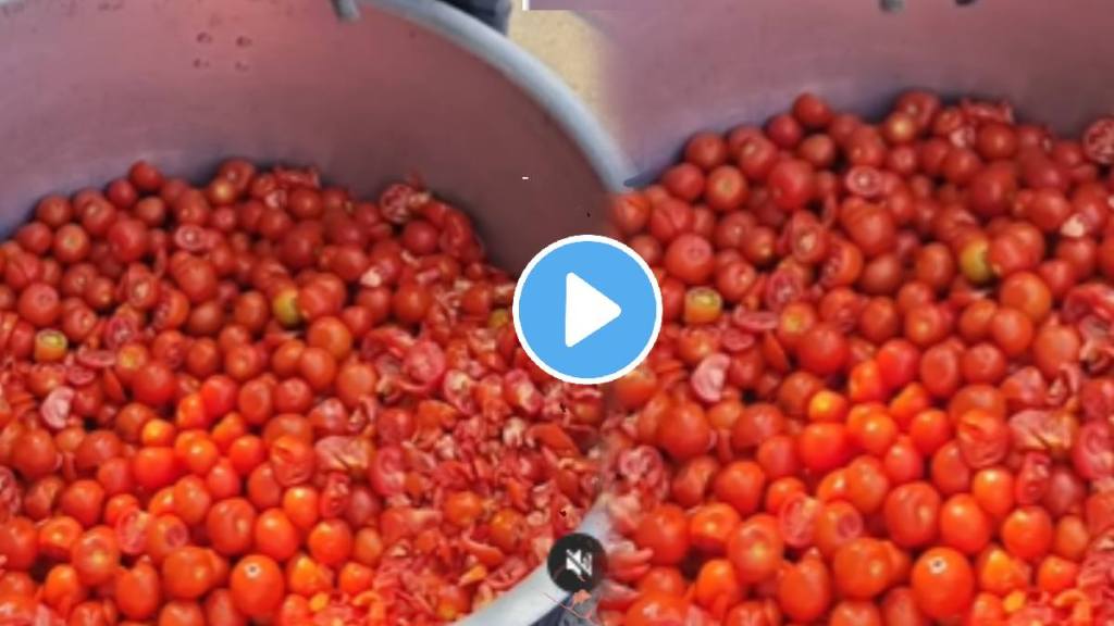 Kitchen jugad video Desi Jugaad How To Cut 20 Kg Of Tomatoes Within 30 Seconds