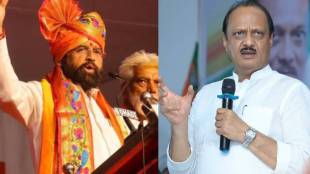 Ajit Pawar On Eknath Shinde