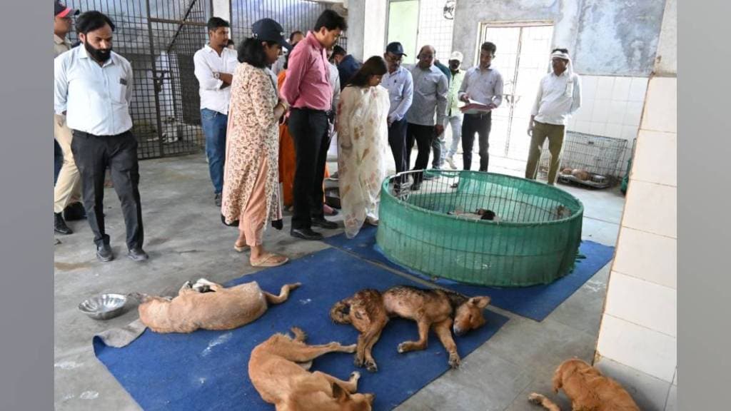 nagpur municipal corporation will redevelop bhandewadi shelter adding hospital quarantine center for stray dogs and space