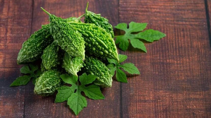 karela leaves health benefits