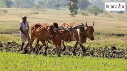 शेतकऱ्यांचा आक्रोश लोकप्रतिनिधींना ऐकूच येत नाही का?