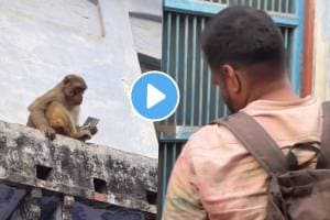 Monkey funny video monkey gives samsung s25 ultra for pack of mango drink in viral video