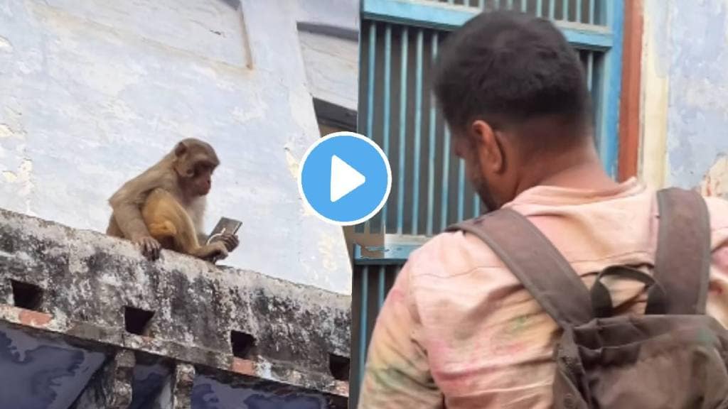 Monkey funny video monkey gives samsung s25 ultra for pack of mango drink in viral video