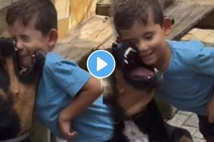 Dog attack on little boy face injured shocking video goes viral on social media