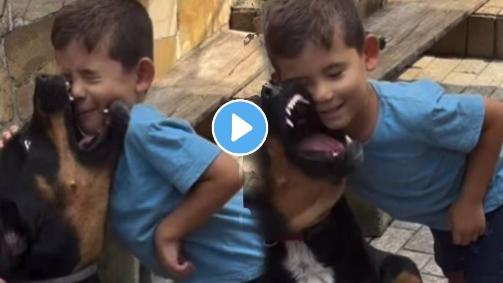 Dog attack on little boy face injured shocking video goes viral on social media