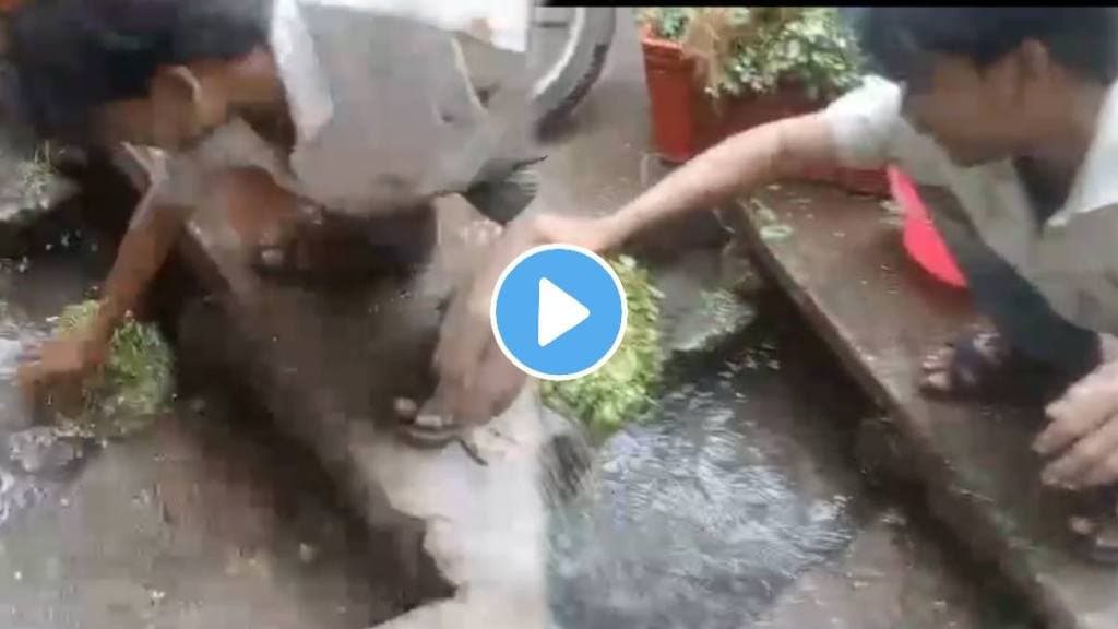 Disgusting! shocking Viral Video Shows Vendor Washing Vegetables In Sewer Water At Ulhasnagar's Khemani Market