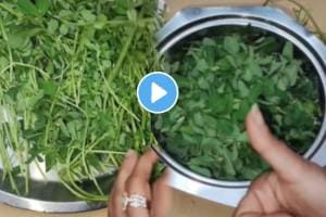 Kitchen jugad methi cleaning trick vegetable cleaning hacks how to clean methi with easy steps in marathi