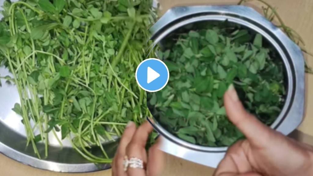 Kitchen jugad methi cleaning trick vegetable cleaning hacks how to clean methi with easy steps in marathi