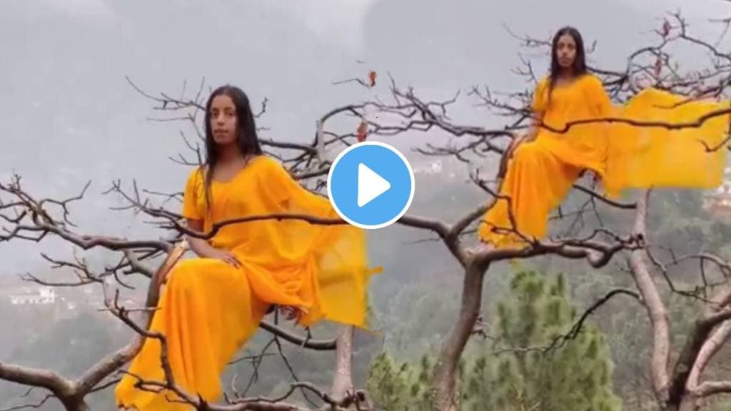 Viral video of unique reel location young girl climbs a tree to shoot shocking video goes viral