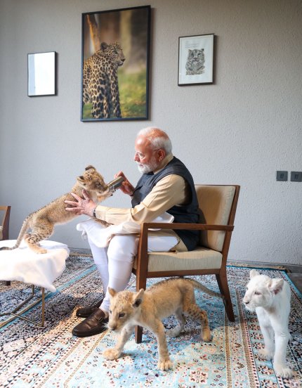 PM Narendra Modi at Vantara in Gujarat 4