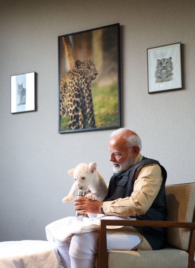 PM Narendra Modi at Vantara in Gujarat 5