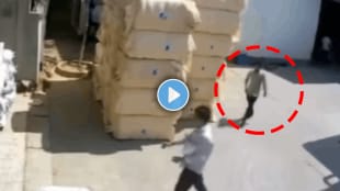 Shocking video of man accident Man crushed under sack video viral on social media