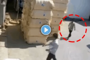 Shocking video of man accident Man crushed under sack video viral on social media