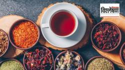 Tea Benefits : चहामुळे शरीरातील जड धातू कसे बाहेर निघतात? नव्या संशोधनात कोणता दावा करण्यात आला?