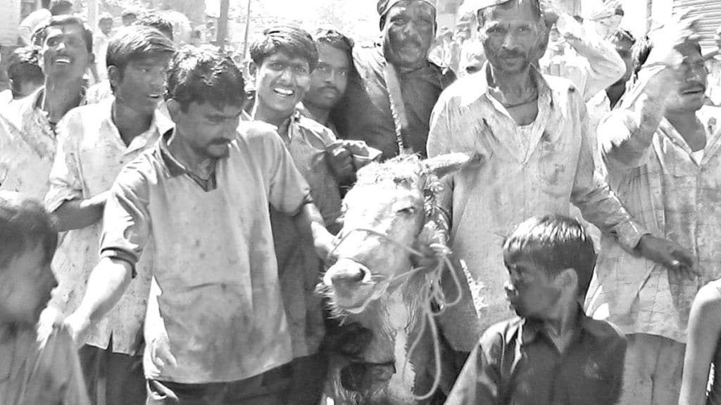 tradition of son-in-law riding a donkey in Vida has been broken