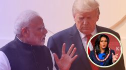 Tulsi Gabbard: “मोदी आणि ट्रम्प थेट…”, भारत-अमेरिका टॅरिफ वादावर तुलसी गॅबार्ड यांचं मोठं विधान