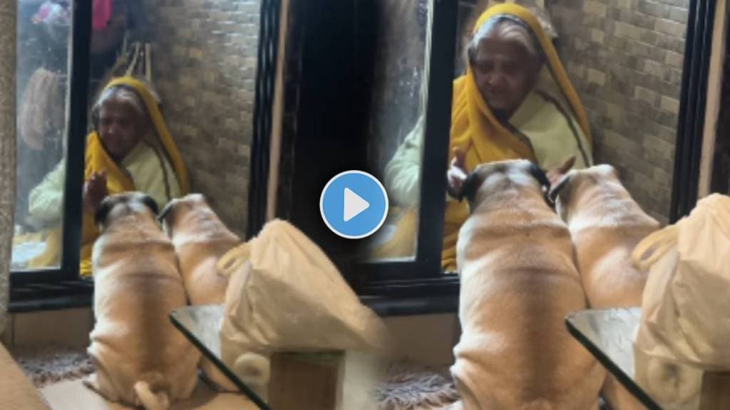 Two pet Dogs listen Grand Mother bhajan