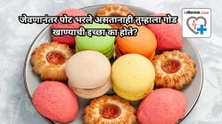 Understanding sugar cravings: जेवणानंतर पोट भरले असतानाही तुम्हाला गोड खाण्याची इच्छा का होते? तज्ज्ञांकडून जाणून घ्या…