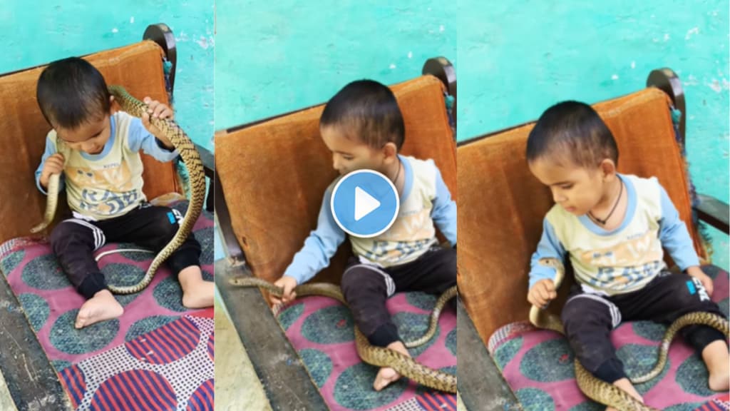 Video of boy playing with snake goes viral the Internet is concerned Playing with life