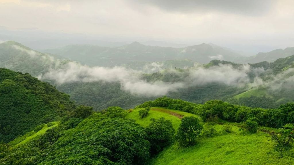 Important research on tree growth in the Western Ghats