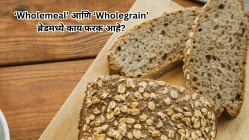 wholemeal आणि wholegrain ब्रेडमध्ये काय फरक आहे? कोणता ब्रेड आहे आरोग्यदायी?