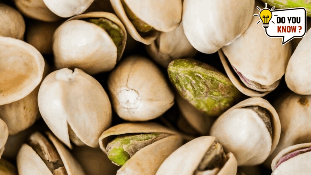 Which Country Is The Highest Producer Of Pistachios