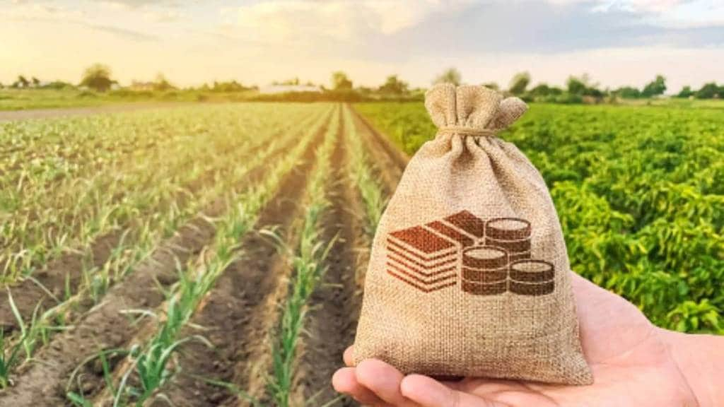 this year monsoon brought great relief to agriculture and allied sectors