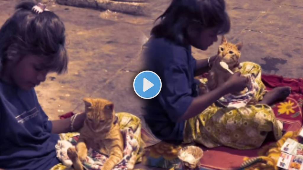 begging child fed ice cream to a kitten