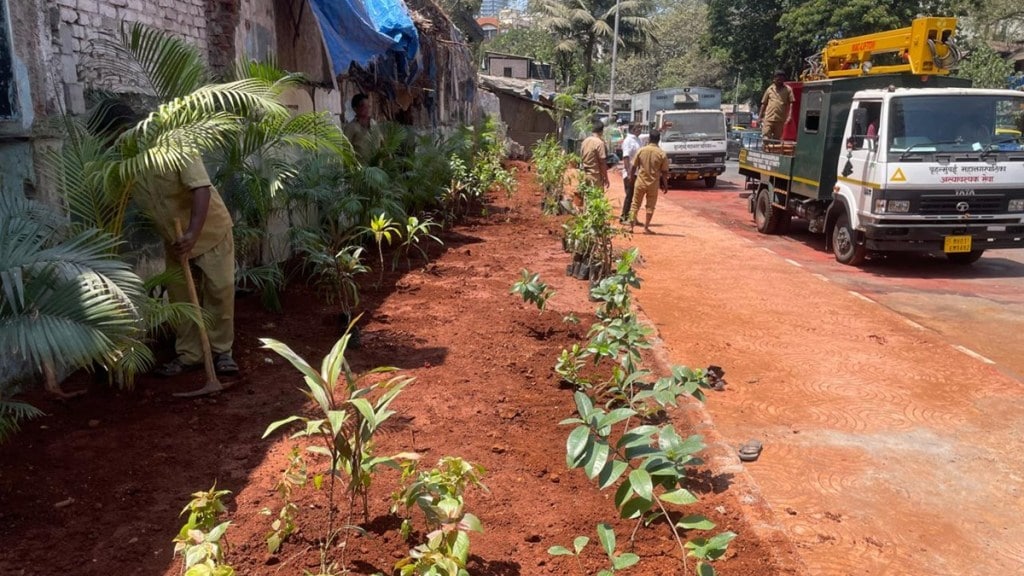 Mumbai Prabhadevi tree plantation