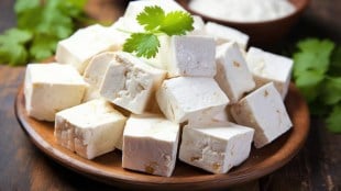 Adulterated paneer