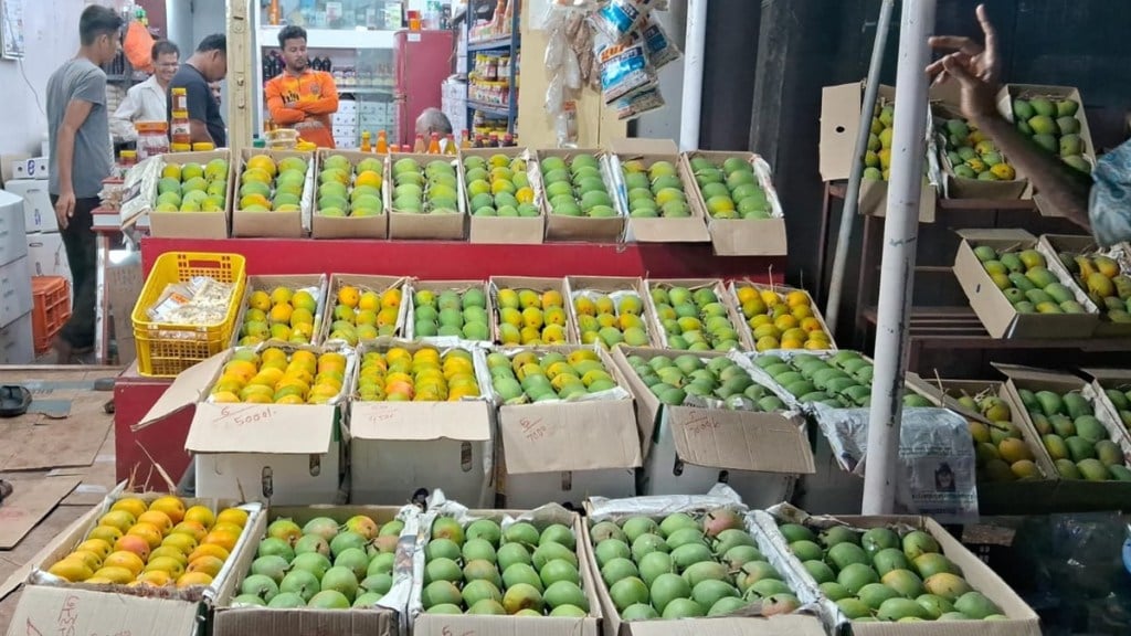 hapus mango production sawantwadi