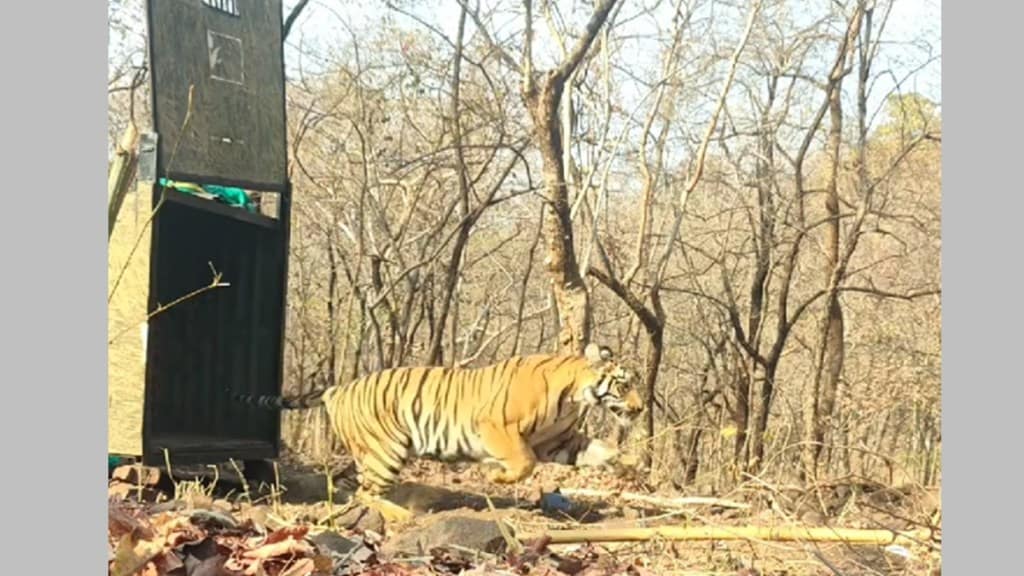 brahmapuri forest division