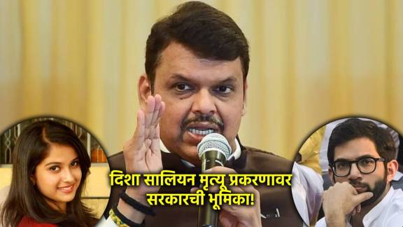 devendra fadnavis on disha salian death case