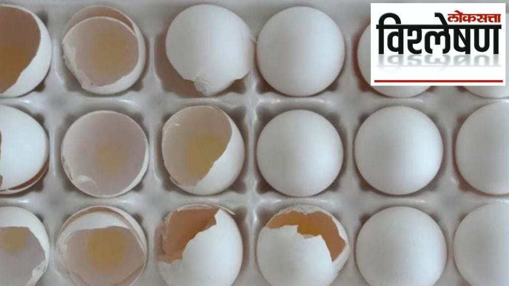 eggs shortage us