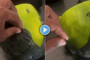 Fake watermelon how to identify fake watermelon shocking video of plastic watermelon